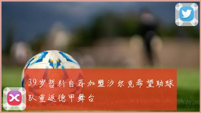 39岁哲科自荐加盟沙尔克希望助球队重返德甲舞台