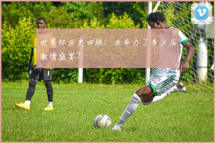 世界杯历史回顾:共举办了多少届激情盛宴?