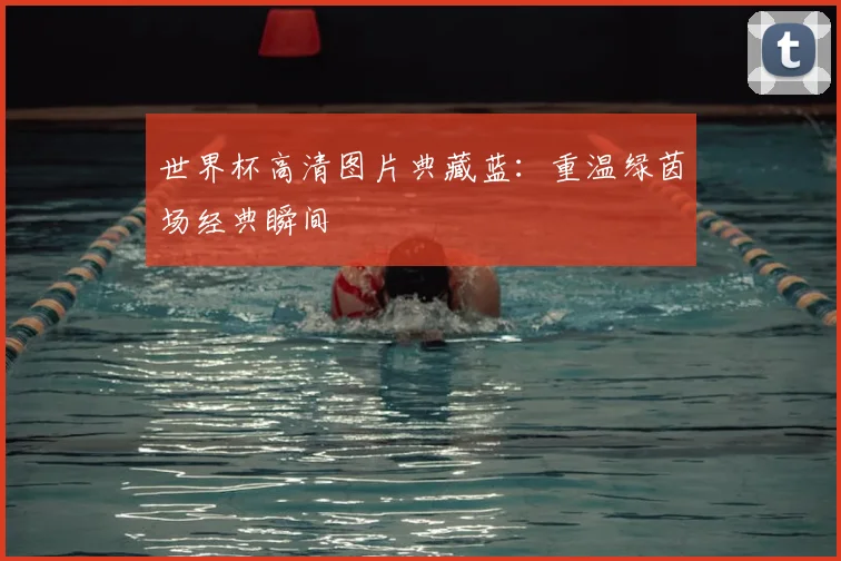 世界杯高清图片典藏蓝:重温绿茵场经典瞬间