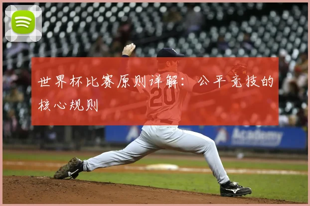 世界杯比赛原则详解:公平竞技的核心规则