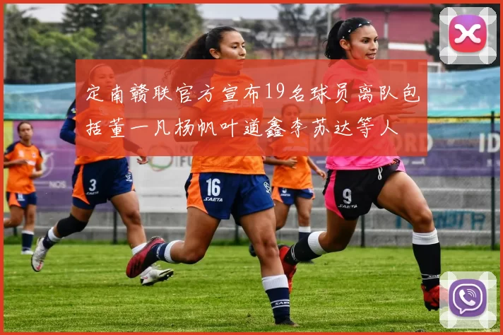 定南赣联官方宣布19名球员离队包括董一凡杨帆叶道鑫李苏达等人