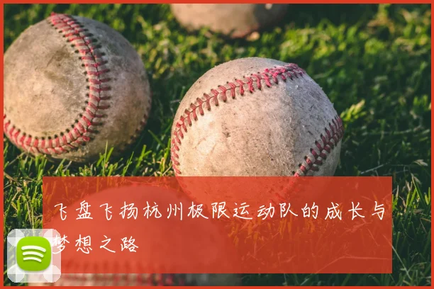 飞盘飞扬杭州极限运动队的成长与梦想之路
