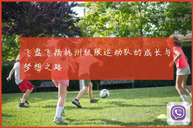 飞盘飞扬杭州极限运动队的成长与梦想之路