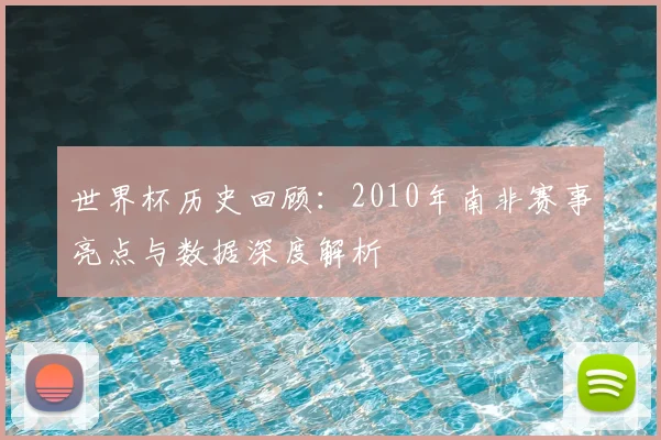 世界杯历史回顾:2010年南非赛事亮点与数据深度解析