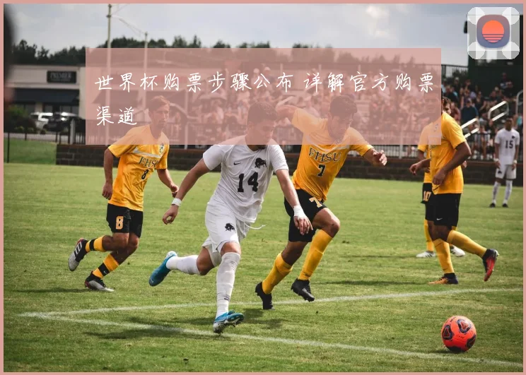 世界杯购票步骤公布 详解官方购票渠道