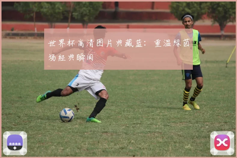 世界杯高清图片典藏蓝:重温绿茵场经典瞬间