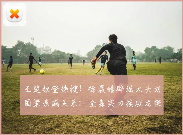 王楚钦登热搜！徐晨皓辟谣大头刘国梁亲戚关系：全靠实力接班龙樊