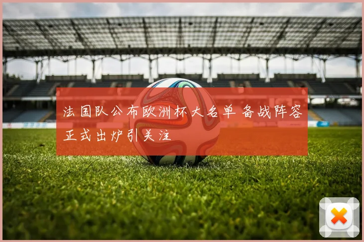 法国队公布欧洲杯大名单 备战阵容正式出炉引关注